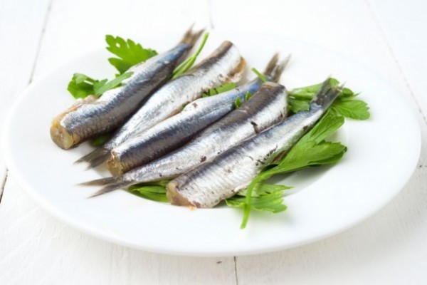 Kako očistiti sveže sardine