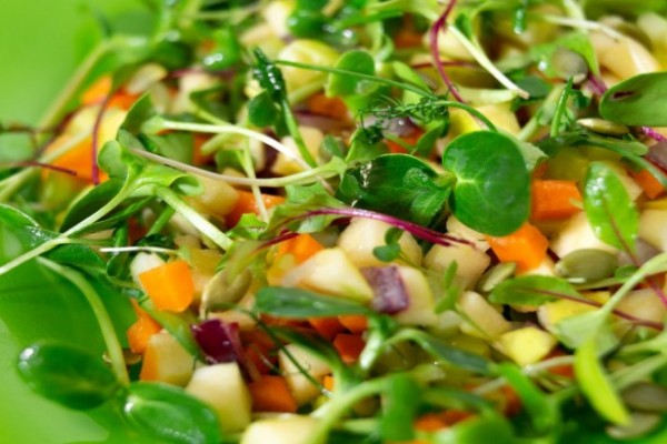 Vitaminska salata - kako je spremiti