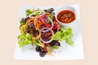 Salata od paprike i crvenog kupusa