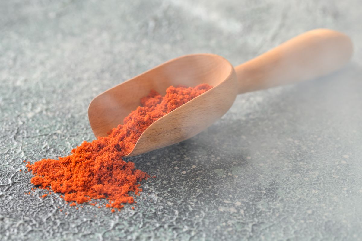 crvena dimljena paprika